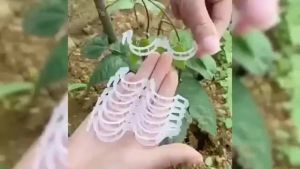 Plant Clip Supports Reusable Plastic Clip Simple Buckle Design Durable Plant Support Cage Professional Horticultural Vegetable Climbing Frame Supports Eggplant Tomato Chili Grape Cucumber And Other Vegetables