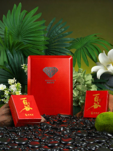 WUYIXING | Superior Rock Tea 2 Boxes 10g Each