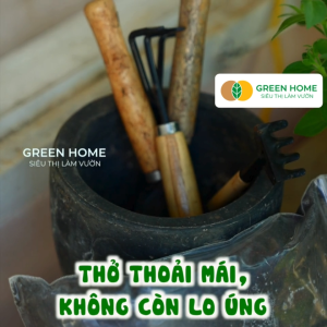 Mua 5 tặng 1 - Đá Khoáng Masato GreenHome Bao 500gr Loại Cao Cấp Sạch Bụi Không Vụn Rải Mặt Kích Rễ