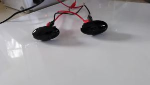 Dynamic LED Flashing Turn Signal Lamp Side Marker Lights For Peugeot 307 206 407 107 607 1007 Citroen C1 C2 C3 C5 C6 Indicator