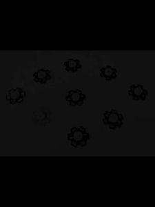 10pcs 3W High Power Chip white Red Blue Green light Bead Emitter LED Bulb Diodes Lamp Beads with 20mm Star PCB Platine Heatsink