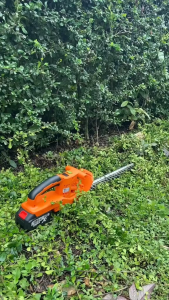 ⚡️สินค้าโกดังไทย พร้อมส่ง!! ใช้งานง่าย ครบจบในชุดเดียว⚡️ JUMBO (จัมโบ้) เครื่องตัดแต่งพุ่มไร้สาย รุ่น JCTH-500 PROMAX พลังแรงสูง แรงดัน 199V เครื่องตัดแต่งพุ่มไม้ เครื่องมือช่างไร้สายสำหรับตกแต่งพุ่มไม้ ตัดกิ่ง ต้นไม้ แต่งสวน ใช้งานง่าย พกพาสะดวก