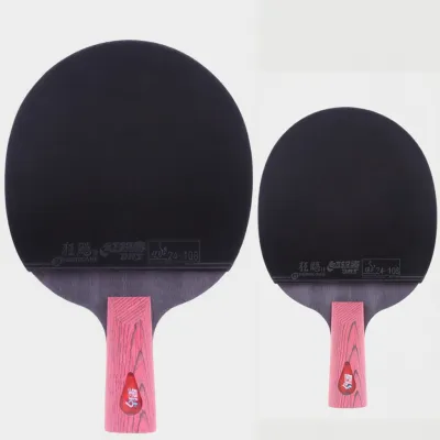 DHS | Professional Star Diamond Table Tennis Paddle Straight Blade and Penhold