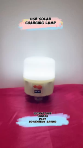 YEELITE Design Solar Light Bulb 100w Emergency Light Bulb Waterproof Rechargeable Solar Light Bulb YGY-100