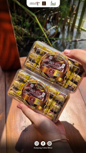 COKLAT DARK 67% NUAI 420G - KAMPUNG COKLAT BLITAR