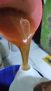 Madu Mentah Nektar Klengkeng 1 Kg dan 500 Gr