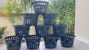 กระถางกล้วยไม้ 8” แพ็ค 10 ใบ สินค้าพร้อมส่ง