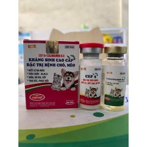 [tặng kim+xilanh] Cặp Cef5 + GluKc (tiêm) tiêu chảy đi kiết ho viêm phổi viêm vú viem tử cung( an toàn cho thú cưng mang thai hoặc cho con bú)