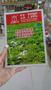 BENIH SELADA KERITING TAFUNG LETTUCE FORMOSA RAPIDS