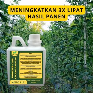 Pupuk Semprot Pelebat KACANG PANJANG Pupuk Pelebat KACANG PANJANG Pupuk Penyubur KACANG PANJANG ZPT