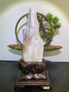 TSK Crystal  SHY030 天然树化玉 黄里透白 色泽圆润 特制雕刻实木底座 Natural Tree Fossil Jade