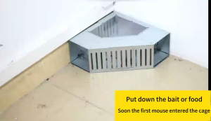 100% rat catch Mouse Trap Continuous capture Double door design Specializes in catching big rats