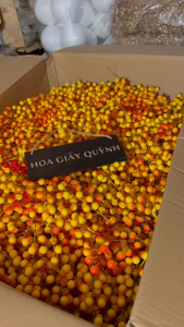 Gói 10 nhánh đào đông vàng/đỏ