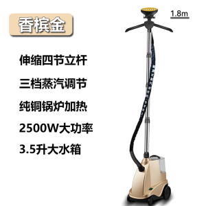 High Power Handheld Garment Steamer for Home And Commercial Use Large Steam Vertical Ironing Machine for Clothing Stores