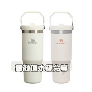 SG[Ready Stock]STANLEY The IceFlow™ Flip Straw Tumbler Water Bottle 30OZ