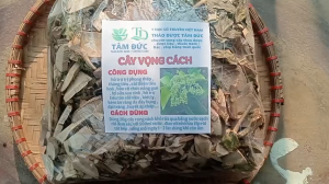 cây vọng cách sấy khô gói 1kg