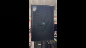 Audiomaster Sapphire 15 Professional Passive Speaker 1600W MAX 2 way 15 inches wooden speaker box (1pc.)