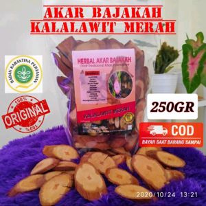 AKAR BAJAKAH MERAH ASLI KALIMANTAN 100% ORIGINAL