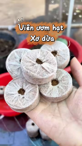 Bộ 50 viên nén ươm hạt - viên nén xơ dừa kích mầm