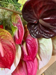2pcs - ANTHURIUM FLOWERS ! Real looking
