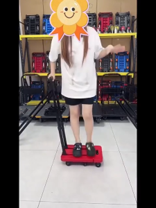 Heavy Duty Multi-Functional Portable Foldable Trolley Cart Wagon Push Cart Scalable Home grocery cart Super Load