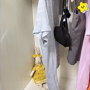 Moisture Absorber Bag 100g – Anti-Mold Dehumidifier for Wardrobe Closet Room Use