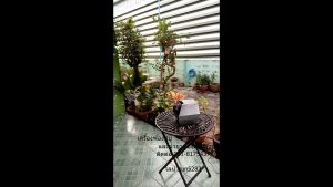 น้ํายาเป่าฟองสบู่สีรุ้ง ฟองสวย ฟองเยอะ ขนาด 5 ลิตร (bubble liquid 5 liter)