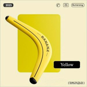 Professional Grade Boomerang Lightweight Collision Resistan Precise Return Flight Durable EVA Material Highquality Construction