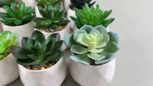 Artificial potted plants office jewelry simulation succulent ceramic paving stones small potted plants