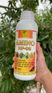 Phân Bón Hữu Cơ TFC ROOTS Msp AMINO HP-08 – Siêu Ra Rễ Siêu Đẻ Nhánh Thoát Bông Nhanh Mập Bông Nhiều Gié Bông Siêu Dưỡng Nhụy Thụ Phấn Mạnh Đậu Chùm Giữ Trái Chống Rụng Hỗ Trợ To Trái (Chai 1 Lít)