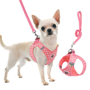 Sentexin Dog Harness and Leash Set for Small Medium Dogs Chihuahua Pomerian Adjustable Reflective Kitten Chest Strap XS/S/M/L