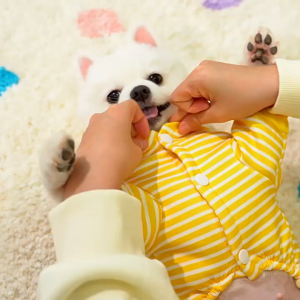 Áo sọc liền quần cho Chó Mèo bằng vải nỉ có khoen móc dây dắt (mẫu mới) - Love Pets Shop