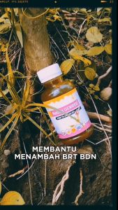 Penambah Nafsu Makan Madu NATURE GEMBEE Menambah Nafsu Makan Dan Gemuk Badan Original BPOM