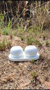 POT MINI BUNGA MINI BULAT TELUR GYPSUM UNIK / POT KAKTUS / SOUVENIR CONCRETE POT MINI MACAM WARNA