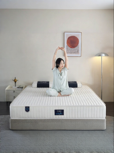 ASNUG | S-shaped Natural Latex and Independent Spring Mattress