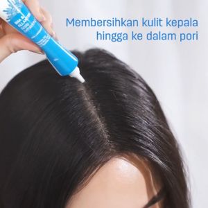 ERHAIR Scalperfect BHA & Allantoin Scalp Exfoliating Gel 30g - Gel Anti Ketombe