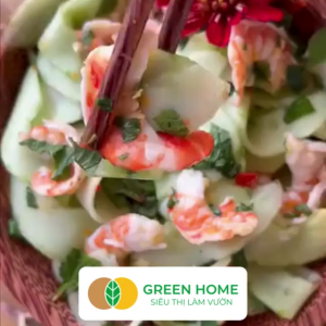 Hạt Giống Dưa Gang Greenhome Gói 05gr~50 hạt Dễ Trồng Quanh Năm Nảy Mầm Cao Thu Hoạch Nhanh Năng Suất Cao T04