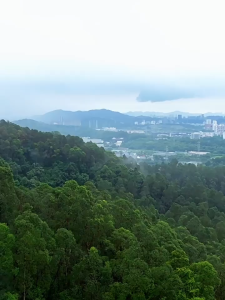 Balo thể thao chạy bộ đạp xe ANMEILU vest túi nước leo núi chạy trail nhiều ngăn tiện lợi 10L