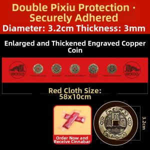 RUINIAN | Decorative Threshold Stone Thick Chinese Imperial Coins