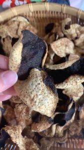 Chinese herbs 5/10/20年正宗新会老陈皮 | Old Mandarin Orange Peel Aged 5/10/20