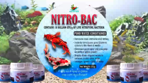 NOAH Nitro-Bac Nitrifying Bacteria Aquarium Water Conditioner Powder