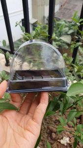 SET 100 Hộp ĐP93 - Đáy Đen Nắp Trong - Hộp Nhựa Đựng Bánh Bông Lan Cuộn Cắt Lát