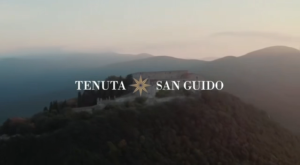 Tenuta San Guido Merlot Red Wine 750ml ABV 14% 2022 Central Italy Toscana Full Body