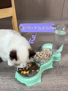 ชามสัตว์เลี้ยง ชามแมว ถ้วยข้าวน้องแมว มาพร้อมที่ให้น้ำอัตโนมัต 2 in 1 ชามเอนกประสงค์ สวยงาม ชามทรงหน้าน้องแมวสีทึบ