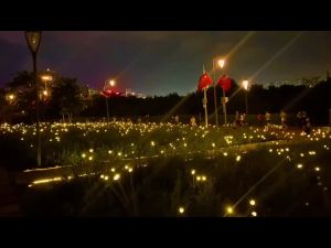 Đèn năng lượng mặt trời đèn đom đóm trang trí sân vườn chậu cây đèn led ngoài trời kháng nước Manco