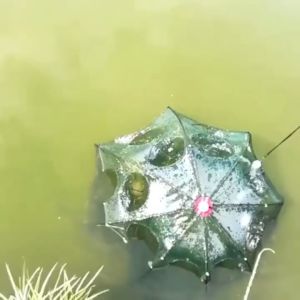 Bingolife Bubu Payung Murah Bubu Ikan Perangkap Ikan Bubu Udang 6~16 Lubang Lele Lobster Untuk Sungai Danau