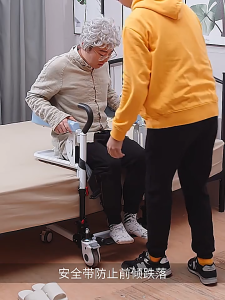 Multi-Functional Elderly Shifter Paralyzed Patient Nursing Hydraulic Lifting Shifter Bath Wheelchair