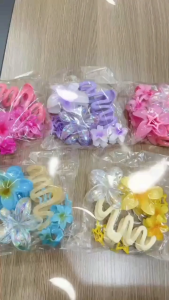 10Pcs Flower Hair Clip Set Frangipani Star Hairpin Big&small Transparent Clamp Clip Barrettes Access