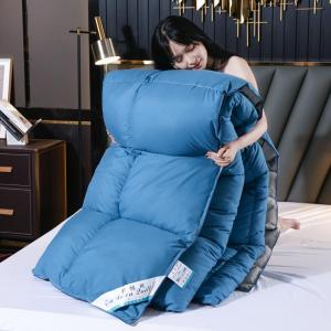Feather Down Thick Warm Double Size Quilt Core
