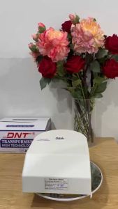 Biến áp 220 ra 110v DNT 20A TREO TƯỜNG